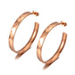 Phoenixville Earrings - ANN VOYAGE