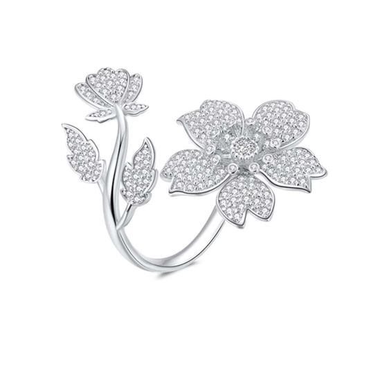 Eindhoven Ring - ANN VOYAGE