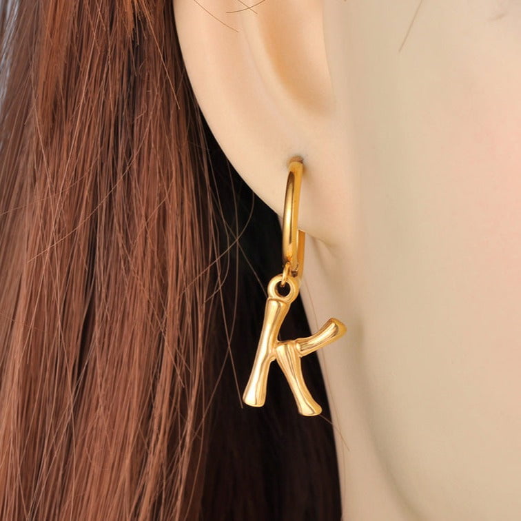 Lincoln Earrings - ANN VOYAGE