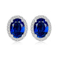 Flagstaff  Earrings