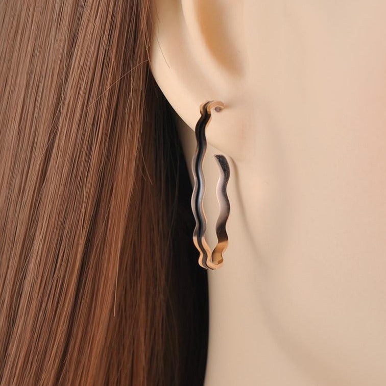 Fitchburg Earrings - ANN VOYAGE