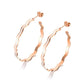 Fitchburg Earrings - ANN VOYAGE