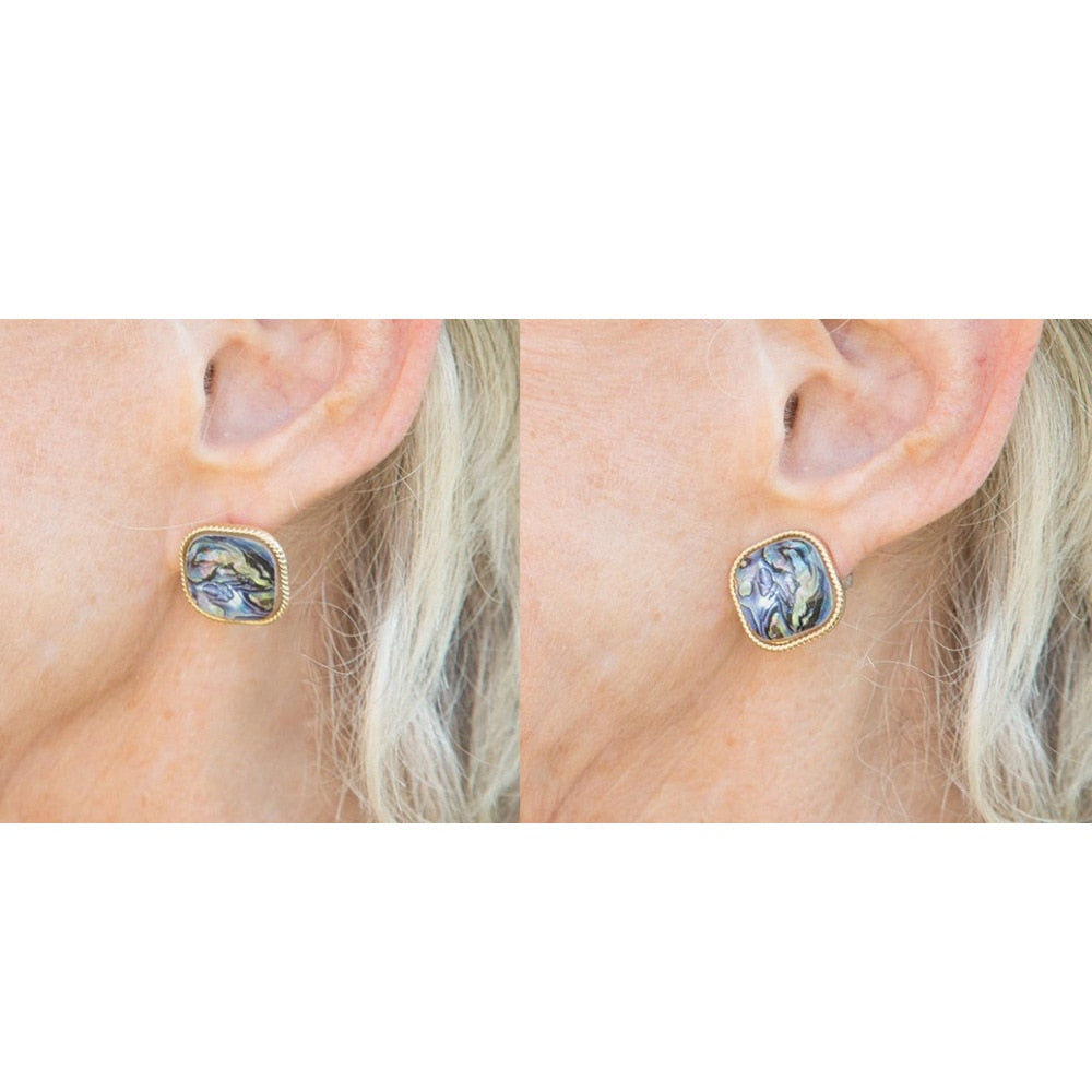 Earring Back Lifters (2 Pairs) 1 Silver Pair and 1 Gold Pair by Ann Voyage