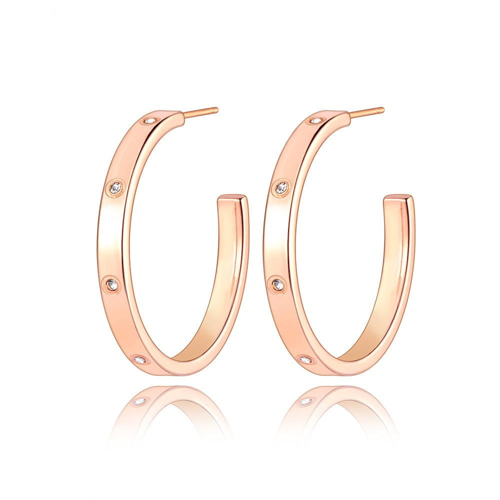 Gendt Earrings - ANN VOYAGE